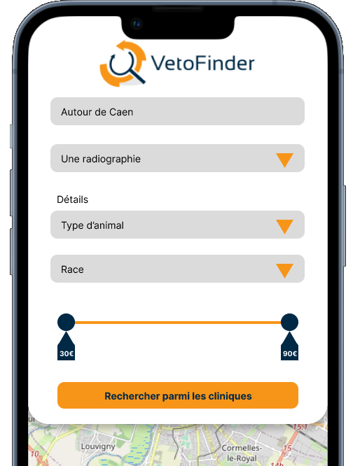 Aperçu de l'application